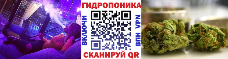 Бошки марихуана семена что такое Ковылкино